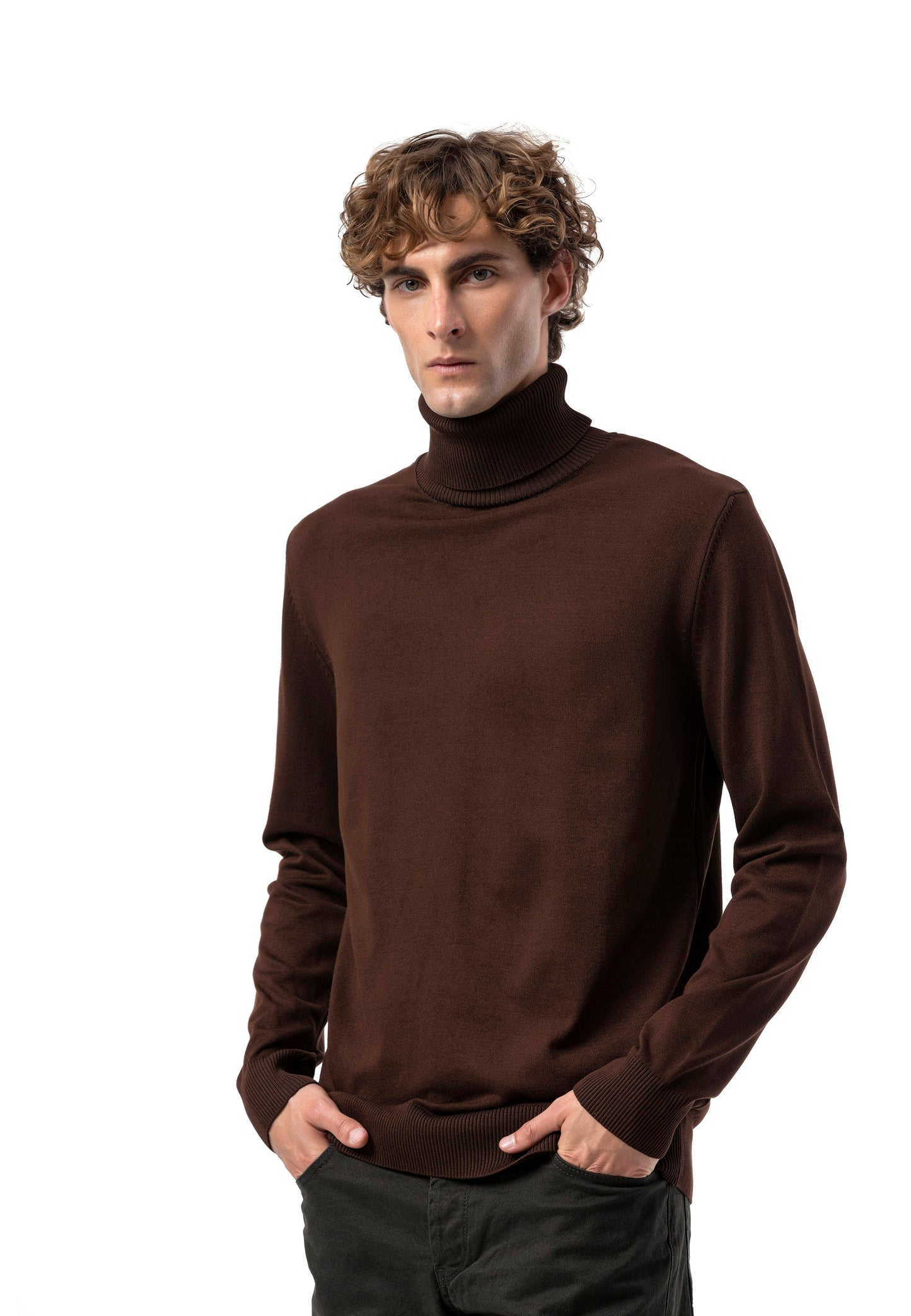 BP200 Herren Rollkragenpullover – Regular Fit